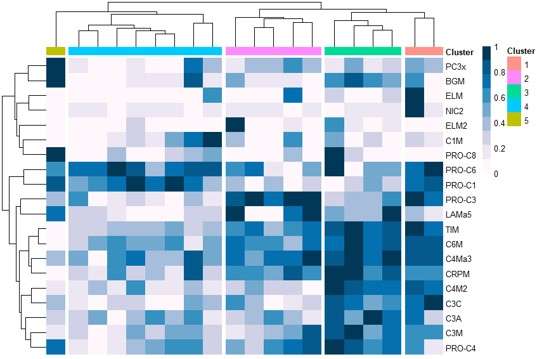 Identification of clusters of patients with different ECM turnover