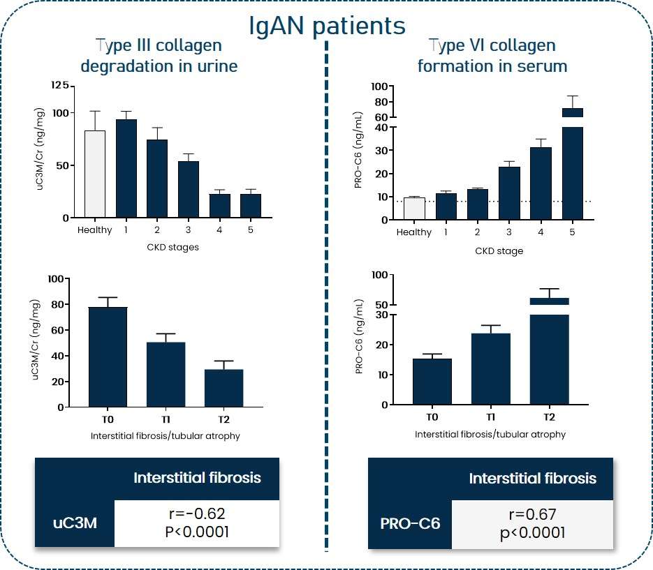 Correlations between baseline biomarker concentrations and histological scoring