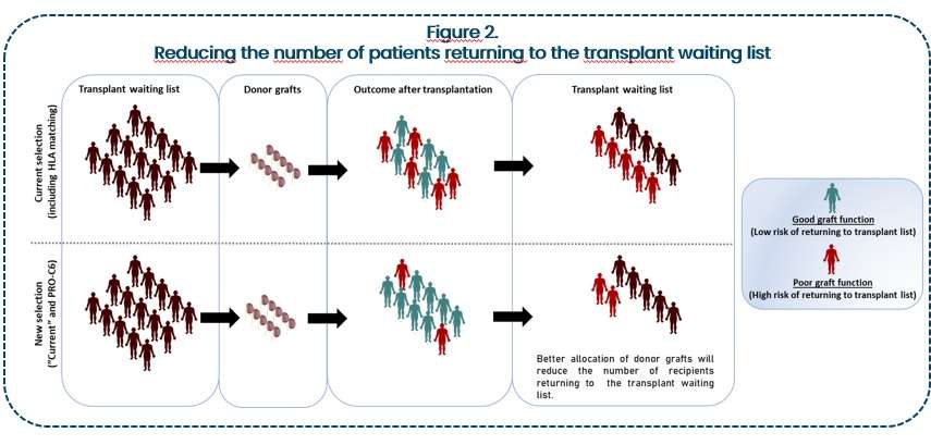 Reducing the number of patients returning to the transplant waiting list