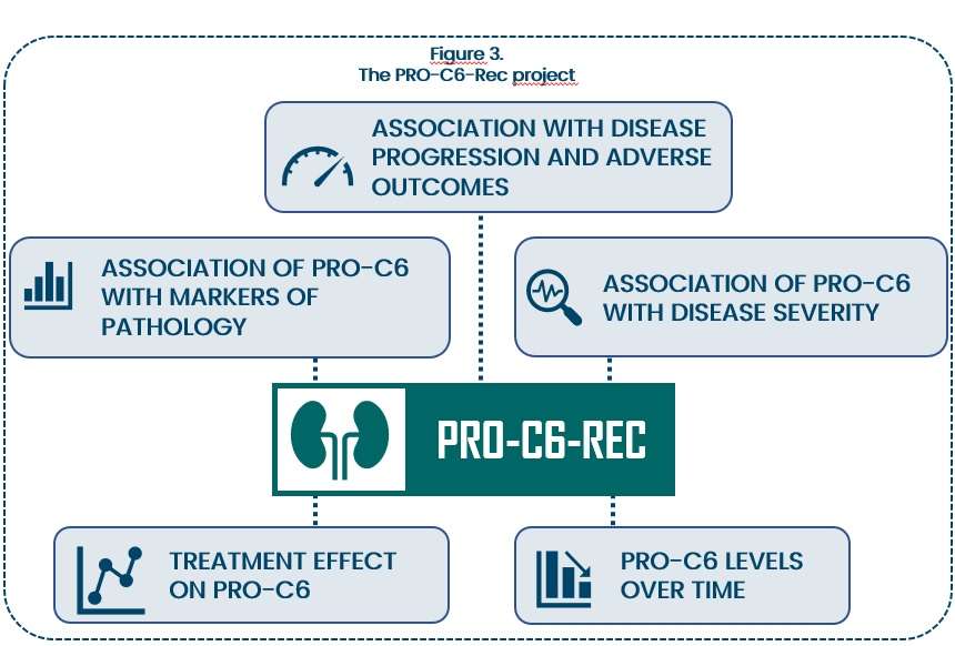 The PRO-C6 Rec project