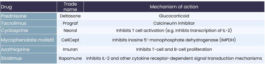 Medications for rejection after kidney transplantation 