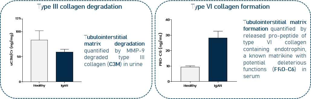 Tubulointerstitial matrix degradation in urine and formation in serum