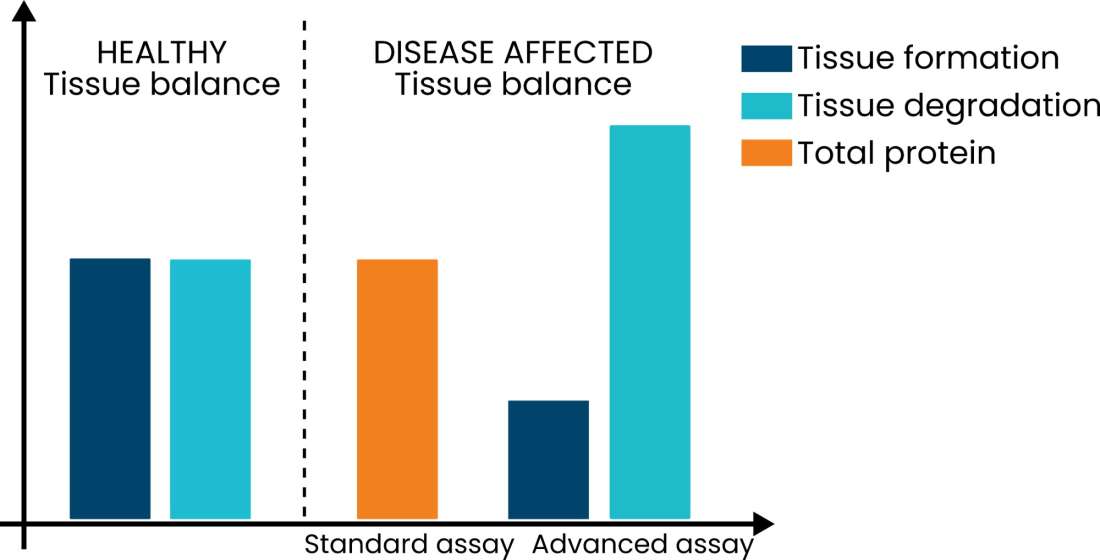 Separating tissue formation and degradation