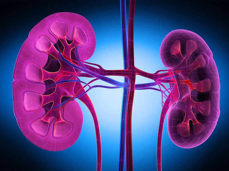 Can we see the future of kidney function with a simple urine test?