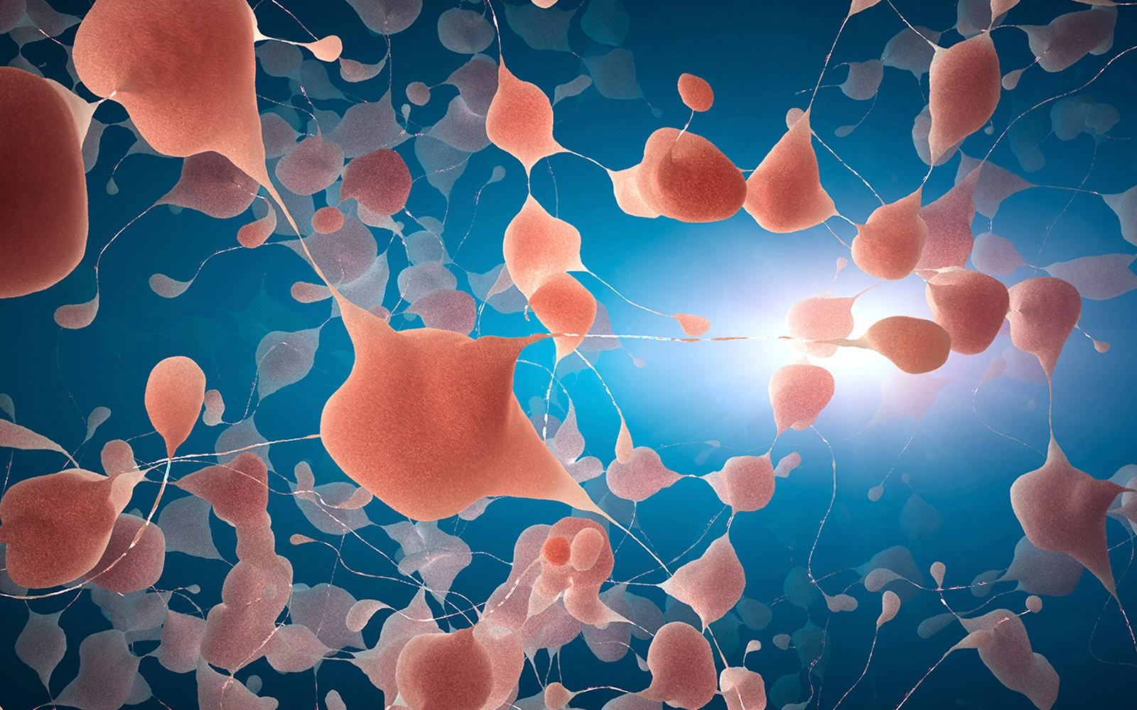 Good versus bad fibroblasts