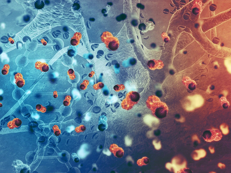 The effect of copper depletion therapy on breast cancer patients