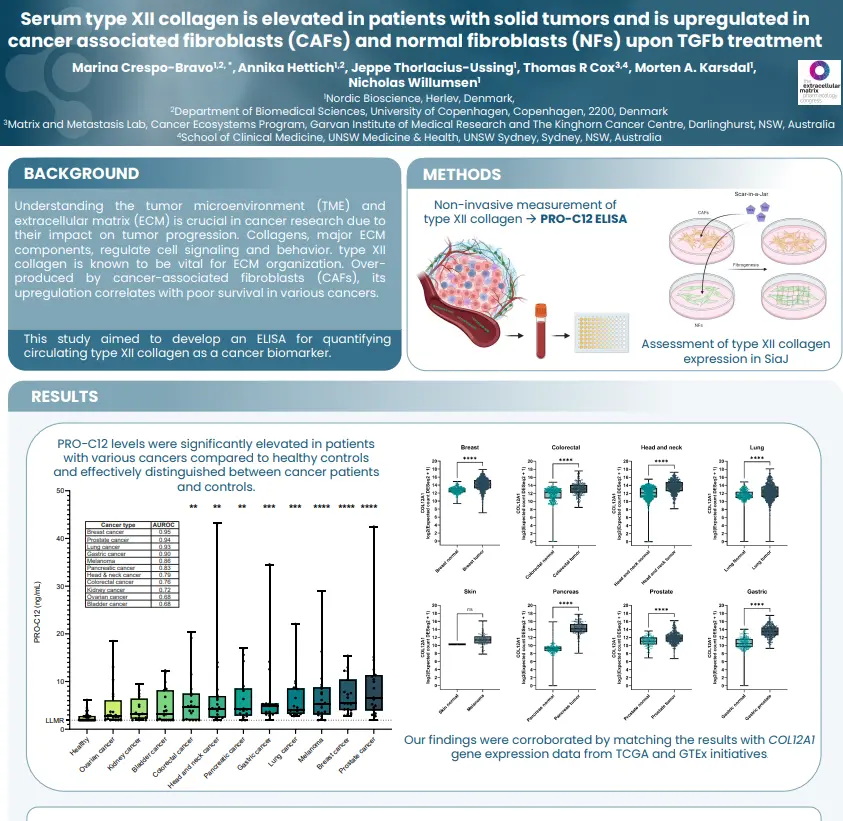 Type XII Collagen Is Elevated in Patients with Solid Tumors