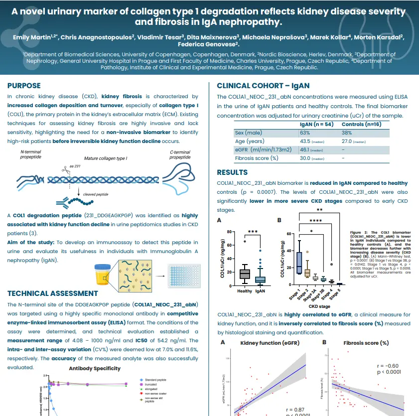 A  Marker of Collagen Type 1 Degradation Reflects Kidney Disease Severity and Fibrosis in IgAN