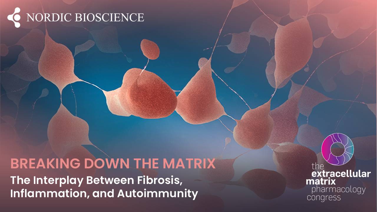 Webinar | Breaking down the Matrix: Autoimmunity – Nordic Bioscience
